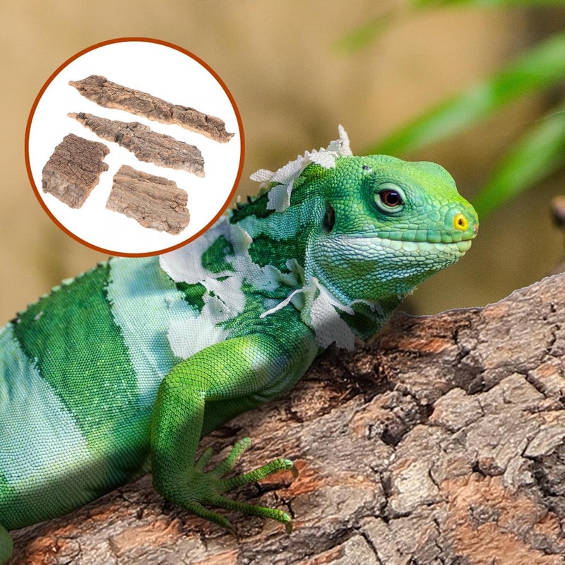 PACKOVE 4pcs Reptile Bark Decor Wood Reptile Terrarium Bark Decor Cork Barks Hide for Spider Lizard, Light Brown, 5. 11 X 1. 49 X 0. 39 Inch - Image 5